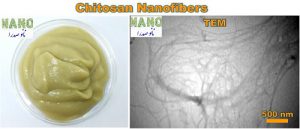 نانو ذرات کیتوزان