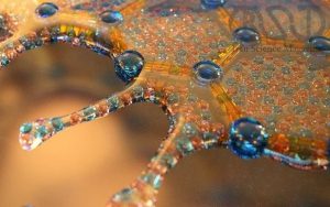 نانو ذرات طلا