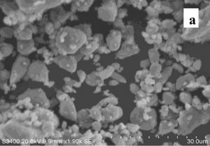 a-SEM-image-of-Mn2O3-nanoparticles