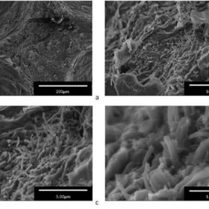 نانو الیاف کربن