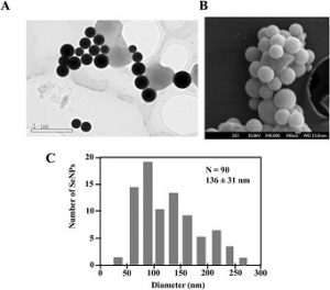 نانو ذرات سلنیوم