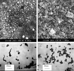 نانو ذرات سلنیوم