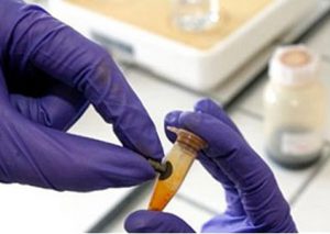 نانو ذرات مگنتیت اکسید آهن