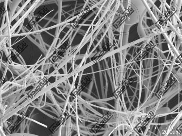 قیمت نانو ذرات سلولز در بازار مشهد