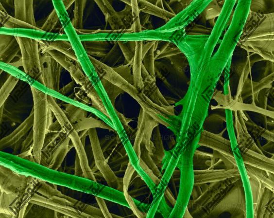 هزینه حمل و نقل نانو ذرات سلولز در ایران