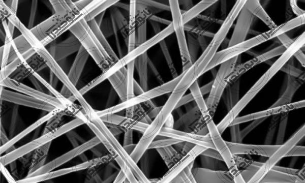 عرضه نانو ذرات سلولز در بازار بین المللی