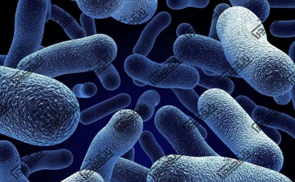 خرید نانو ذرات به صورت اقساطی