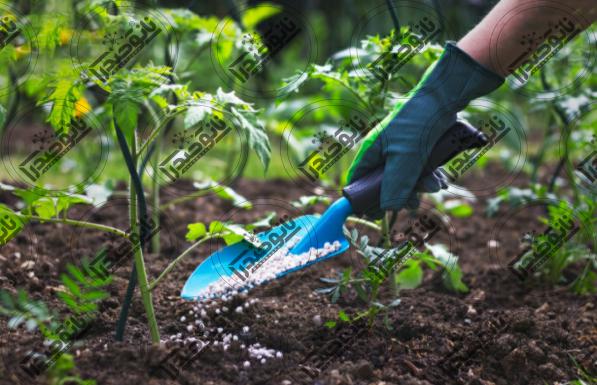 تاثیر گذارترین موارد بر کیفیت کود نانو