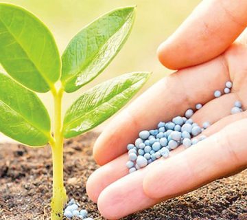 پخش کود نانو