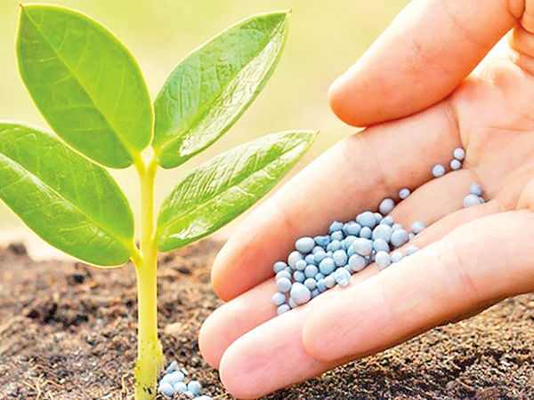 پخش کود نانو