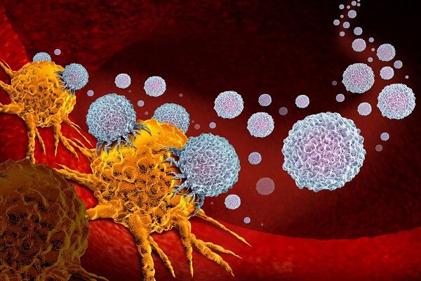 نانو ساختار مزوپروس