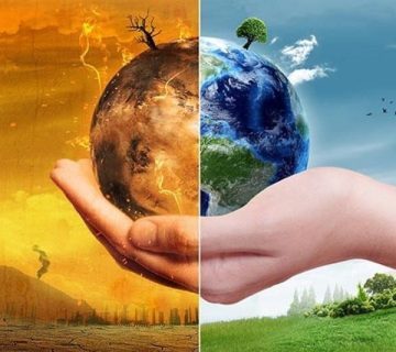 کود نانو اسید هیومیک