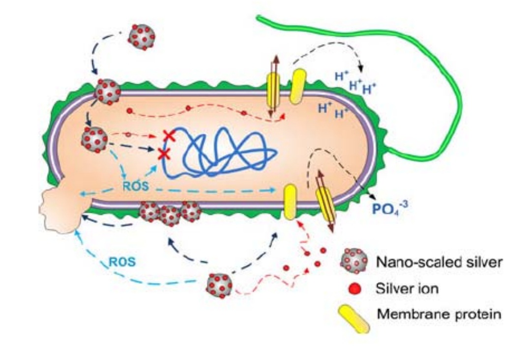 روش ردیابی الکترونیکی سنتز نانو ذرات