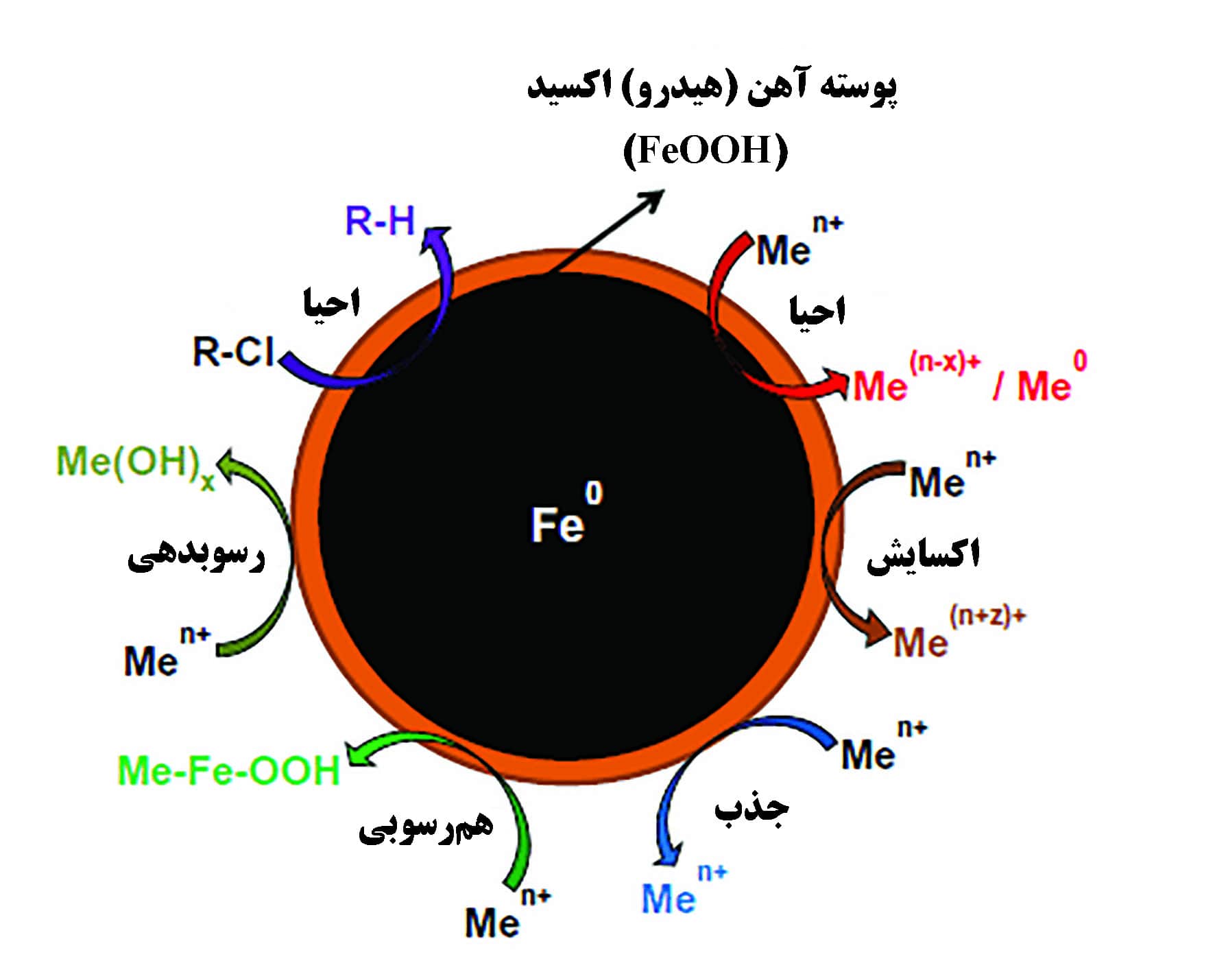اثر بخشی واکنش‌ پذیری بالای نانو ذرات آهن صفرظرفیتی Fe