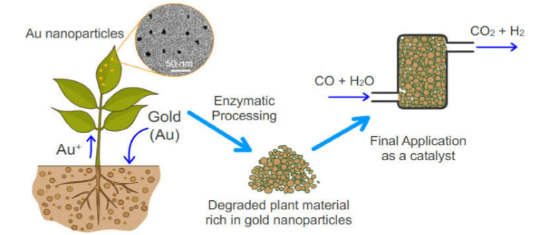 انتخاب حلال مناسب برای تولید نانو ذرات نقره با خواص دلخواه